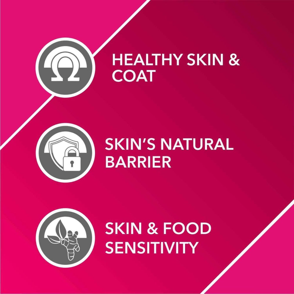 Drools Absolute Skin & Coat Syrup Supplement for Dogs - 300ml - dspetstore.com