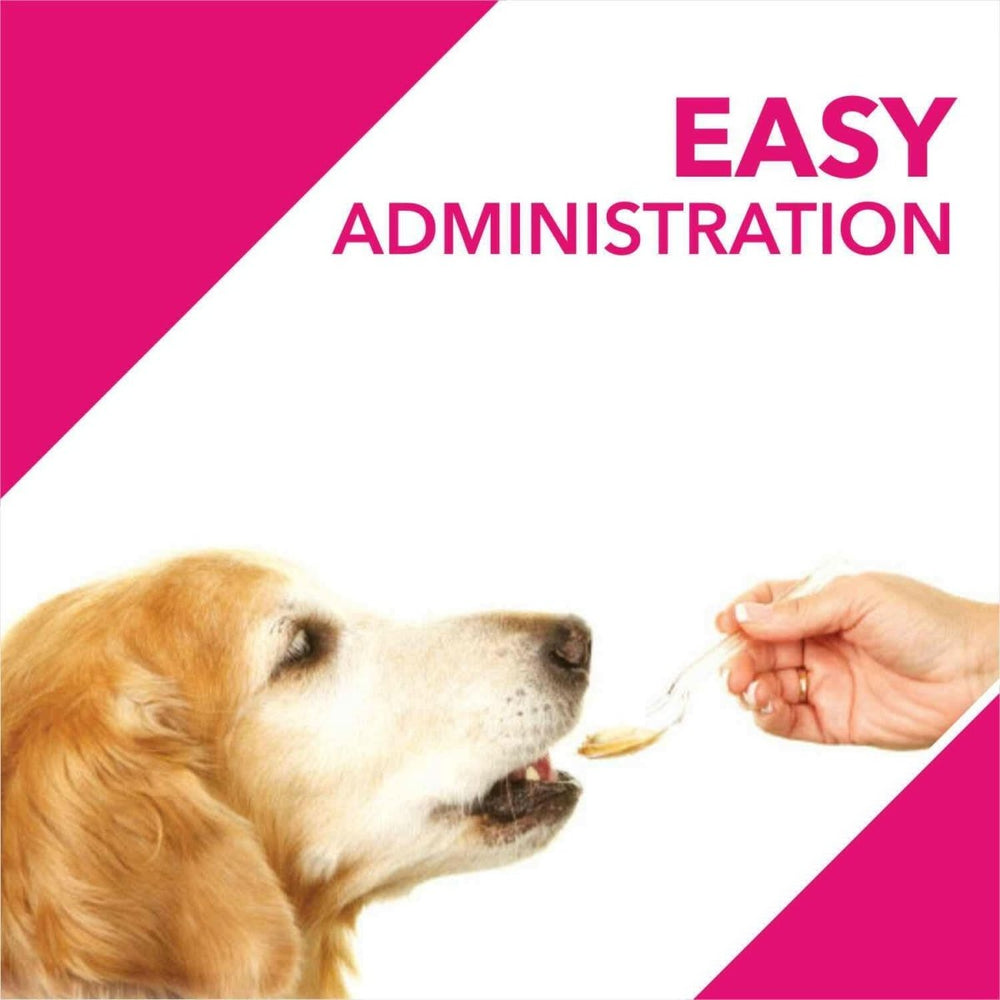 Drools Absolute Skin & Coat Syrup Supplement for Dogs - 300ml - dspetstore.com