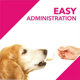 Drools Absolute Skin & Coat Syrup Supplement for Dogs - 300ml - dspetstore.com