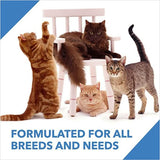 Drools Adult Cat Food Dry Mackerel Flavour - dspetstore.com