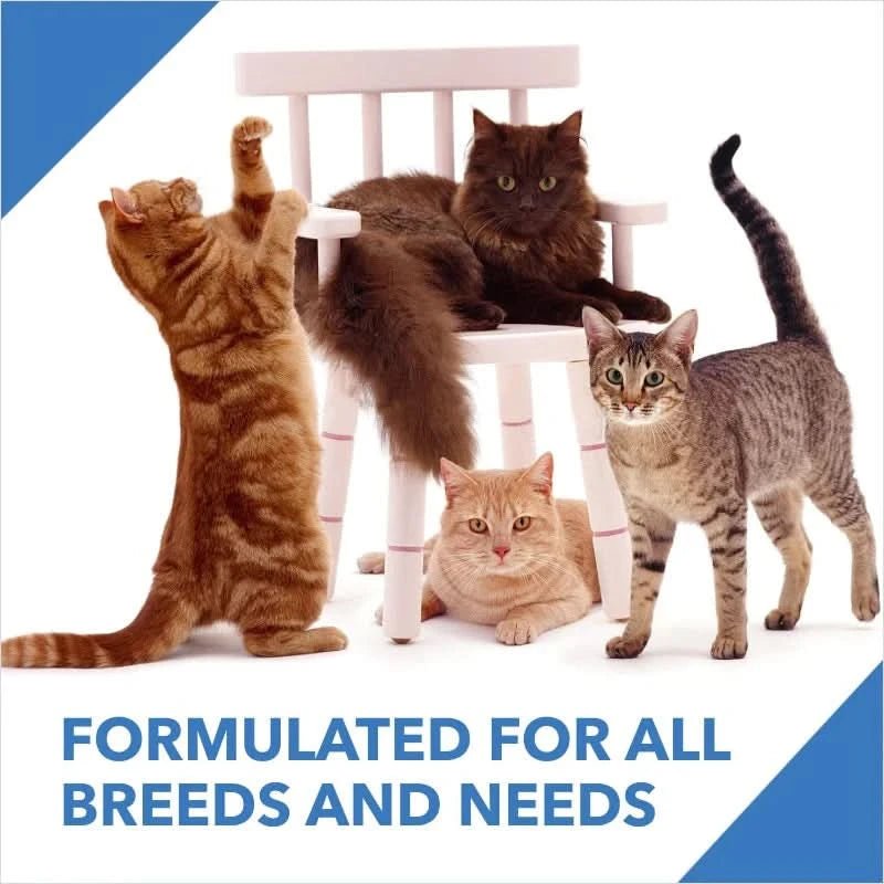 Drools Adult Cat Food Dry Ocean Fish Flavour - dspetstore.com