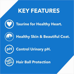 Drools Adult Cat Food Dry Salmon Flavour - dspetstore.com