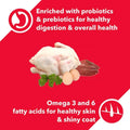 Drools Adult Dog Food Chicken & Egg - dspetstore.com