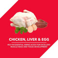 Drools Adult Dog Food Chicken & Egg - dspetstore.com