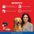 Drools Adult Dog Food Chicken & Egg - dspetstore.com