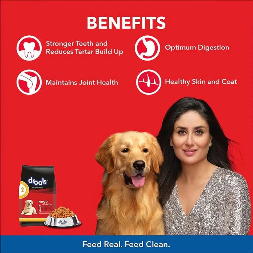 Drools Adult Dog Food Chicken & Egg - dspetstore.com