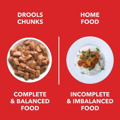Drools Adult Dog Wet Food Real Chicken and Chicken Liver Chunks in Gravy - dspetstore.com