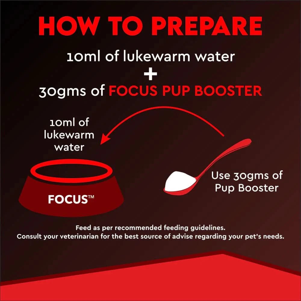 Drools Focus Pup Booster Puppy Weaning Diet 300 g - dspetstore.com