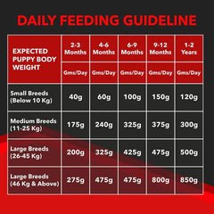 Drools Focus Puppy Super Premium Dry Dog Food - dspetstore.com