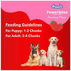 Drools Power Bites Strawberry Flavour – Real Chicken, Dog Treats,135 g - dspetstore.com