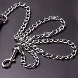 Eagle Pet Products Heavy Duty Metal Dog Leash with Handle for Small & Medium Size Dogs - dspetstore.com