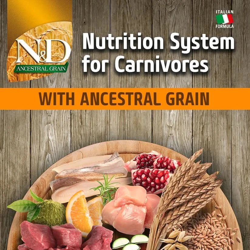 Farmina Ancestral Grain Adult Mini Breed Dog Food Chicken & Pomegranate - dspetstore.com