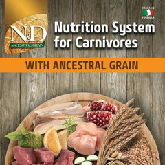 Farmina N&D Chicken & Pomegranate Ancestral Grain Starter Dry Dog Food - dspetstore.com