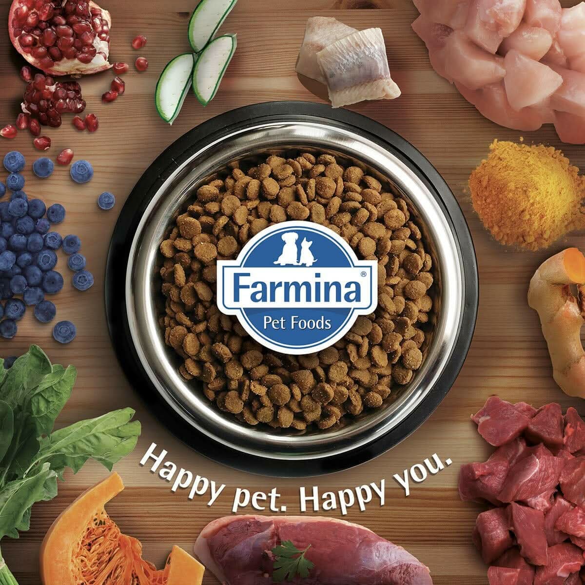 Farmina N&D Chicken & Pomegranate Ancestral Grain Starter Dry Dog Food - dspetstore.com