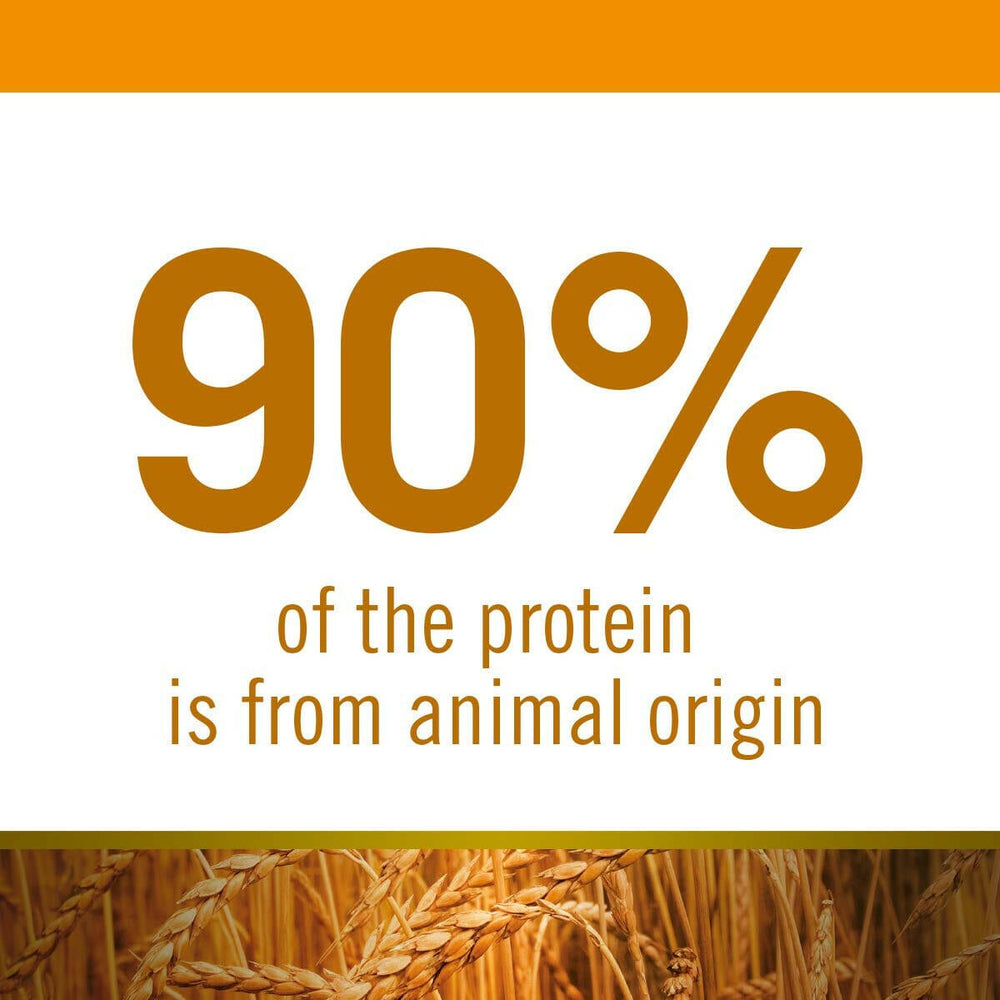 Ancestral grain food for puppies
