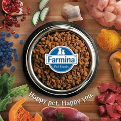 Farmina N&D Quinoa Digestion Lamb Adult Dry Cat Food - dspetstore.com