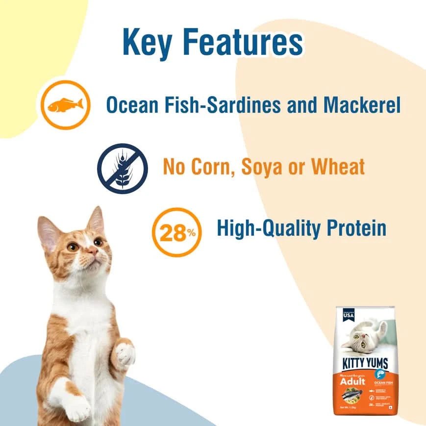Kitty Yums Ocean Fish Adult Cat Food - dspetstore.com