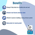 Kitty Yums Ocean Fish Persian Cat Dry Food - dspetstore.com