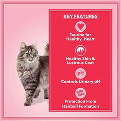 Let's Bite Active Adult Dry Cat Food - dspetstore.com