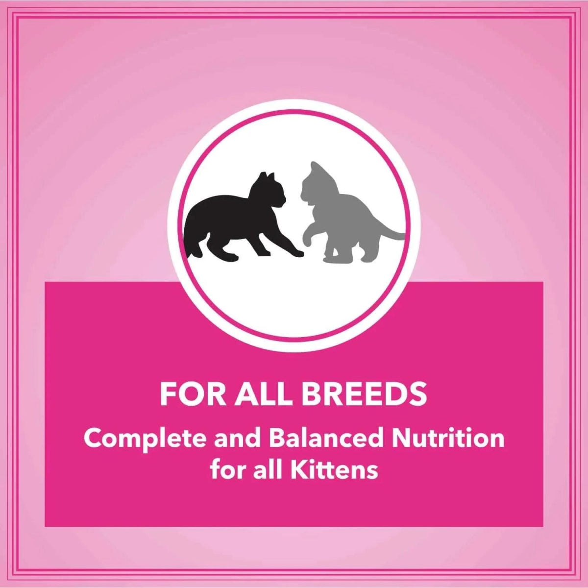 Let's Bite Active Kitten Ocean Fish Cat Dry Food (Buy 1 Get 1 Free) - dspetstore.com