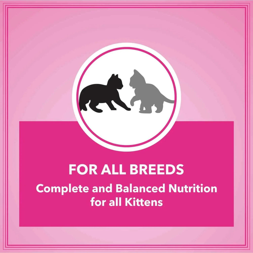 Let's Bite Active Kitten Ocean Fish Cat Dry Food (Buy 1 Get 1 Free) - dspetstore.com