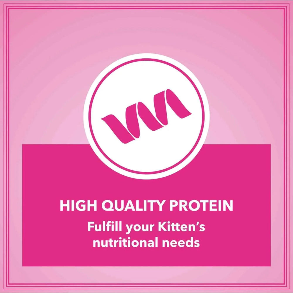 Let's Bite Active Kitten Ocean Fish Cat Dry Food (Buy 1 Get 1 Free) - dspetstore.com