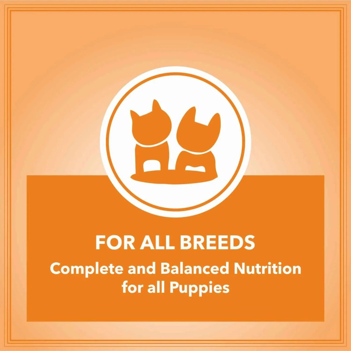 Let's Bite Active Puppy Chicken Dog Dry Food — 10kg - dspetstore.com