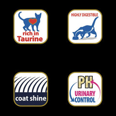 Matisse Chicken & Rice Dry Cat Food - dspetstore.com