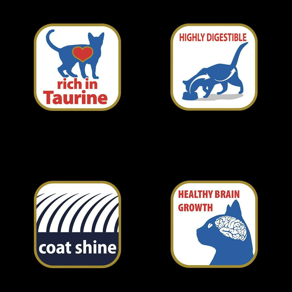 Matisse Kitten Dry Cat Food - dspetstore.com