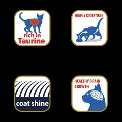 Matisse Kitten Dry Cat Food - dspetstore.com