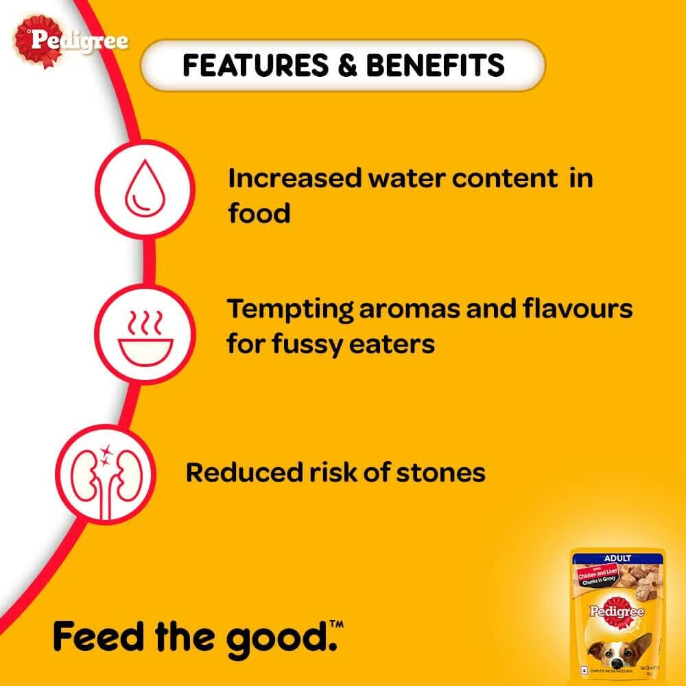Pedigree Adult Chicken & Liver Chunks Wet Dog Food - dspetstore.com