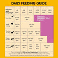 Pedigree Chicken and Milk Puppy Dog Dry Food - dspetstore.com