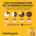 Pedigree Meat & Rice Adult Dog Dry Food - dspetstore.com