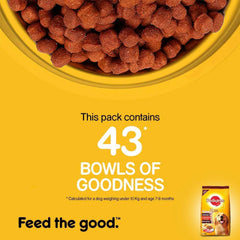 Pedigree Meat & Rice Adult Dog Dry Food - dspetstore.com