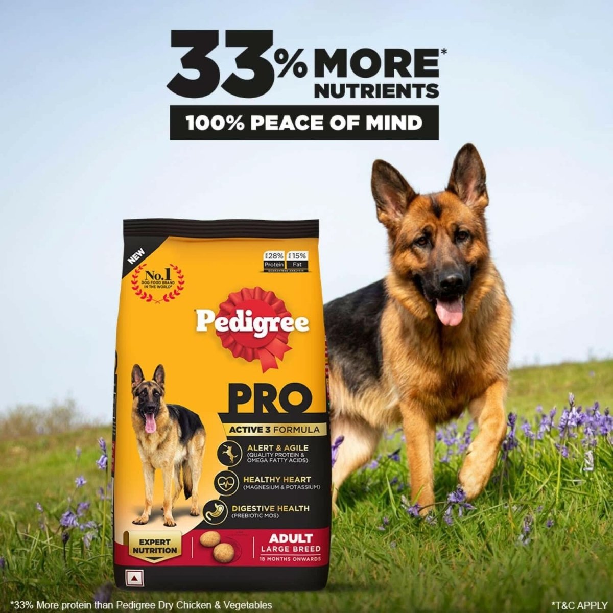 Pedigree Pro Adult Large Breed Dry Dog Food - dspetstore.com