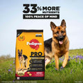 Pedigree Pro Adult Large Breed Dry Dog Food - dspetstore.com