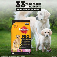 Pedigree Pro Starter Mother and Pup Large Breed - dspetstore.com