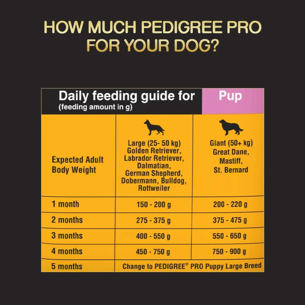Pedigree Pro Starter Mother and Pup Large Breed - dspetstore.com