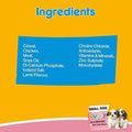 Pedigree Puppy Small Dog Dry Food - dspetstore.com