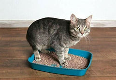 Pet Pattern Smart Bentonite Cat Litter - dspetstore.com