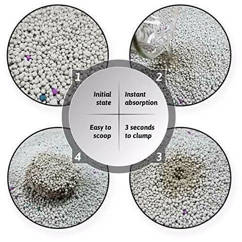 Pet Pattern Smart Bentonite Cat Litter - dspetstore.com