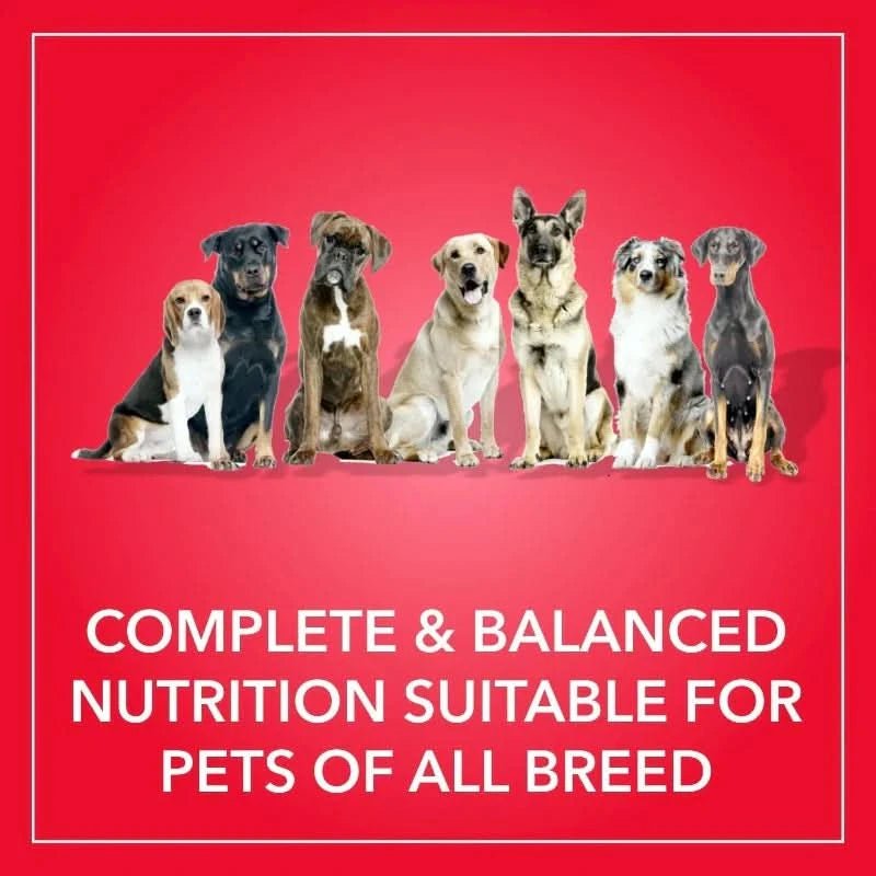 Purepet Chicken & Vegetable Adult Dry Dog Food - dspetstore.com