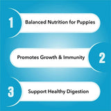 Purepet Chicken & Vegetable Puppy Dry Food - dspetstore.com