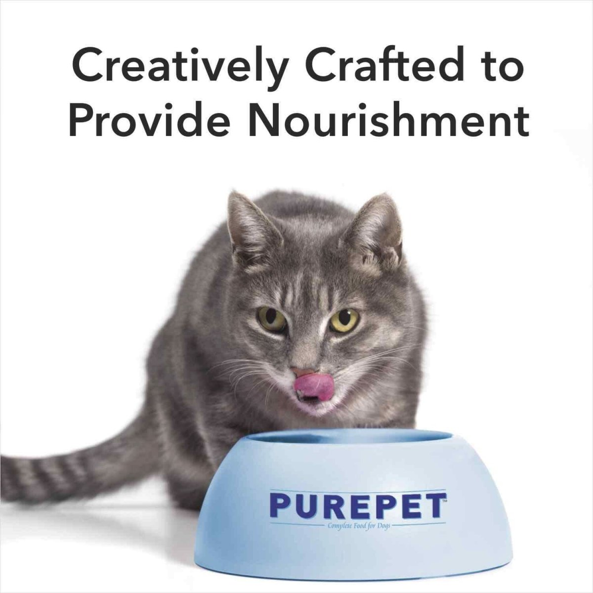Purepet Real Chicken & Chicken Liver in Gravy Cat Wet Food – 70 g - dspetstore.com