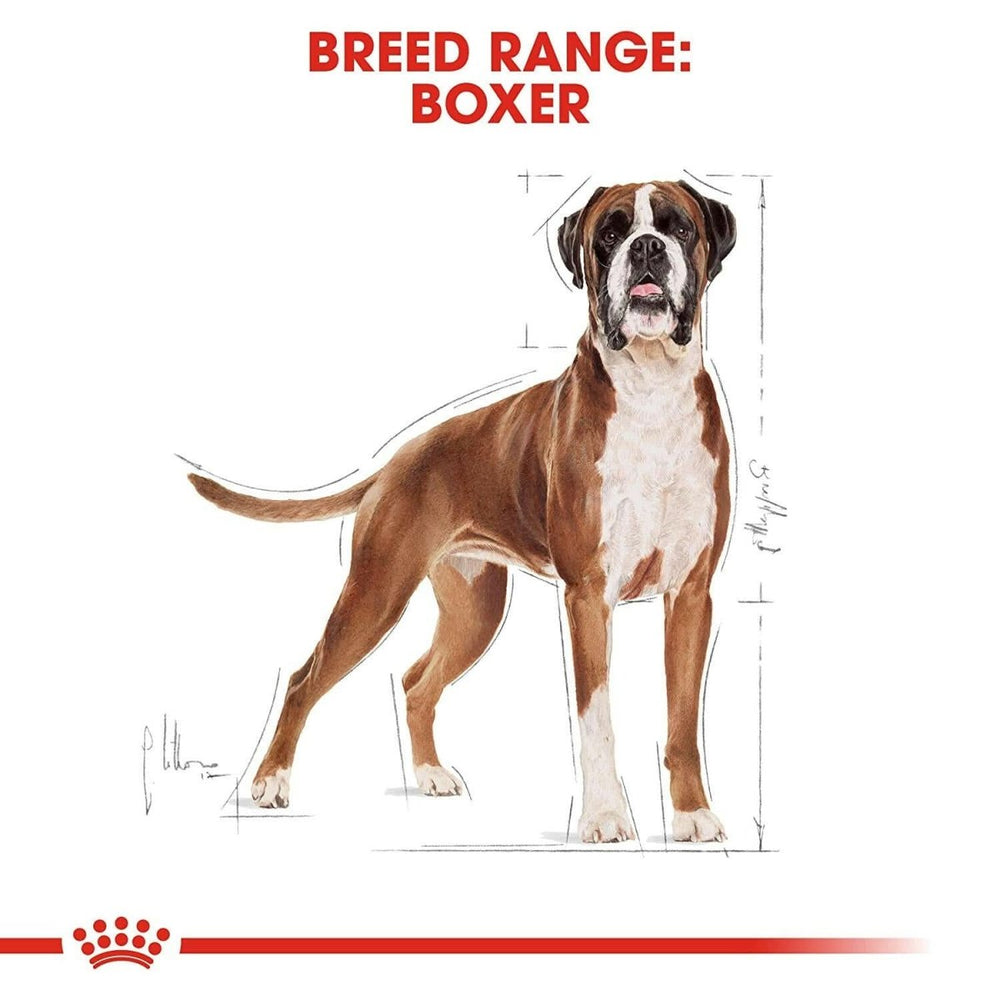 Royal Canin Boxer Adult Dry Dog Food - dspetstore.com