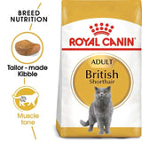 Royal Canin British Shorthair Adult Dry Cat Food - dspetstore.com
