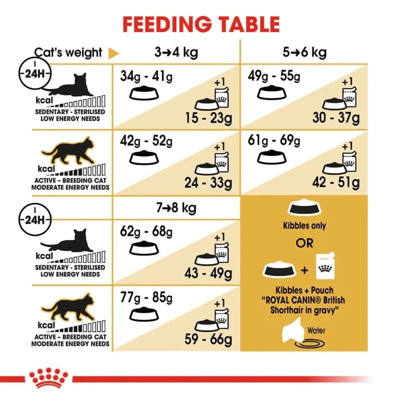 Royal Canin British Shorthair Adult Dry Cat Food - dspetstore.com
