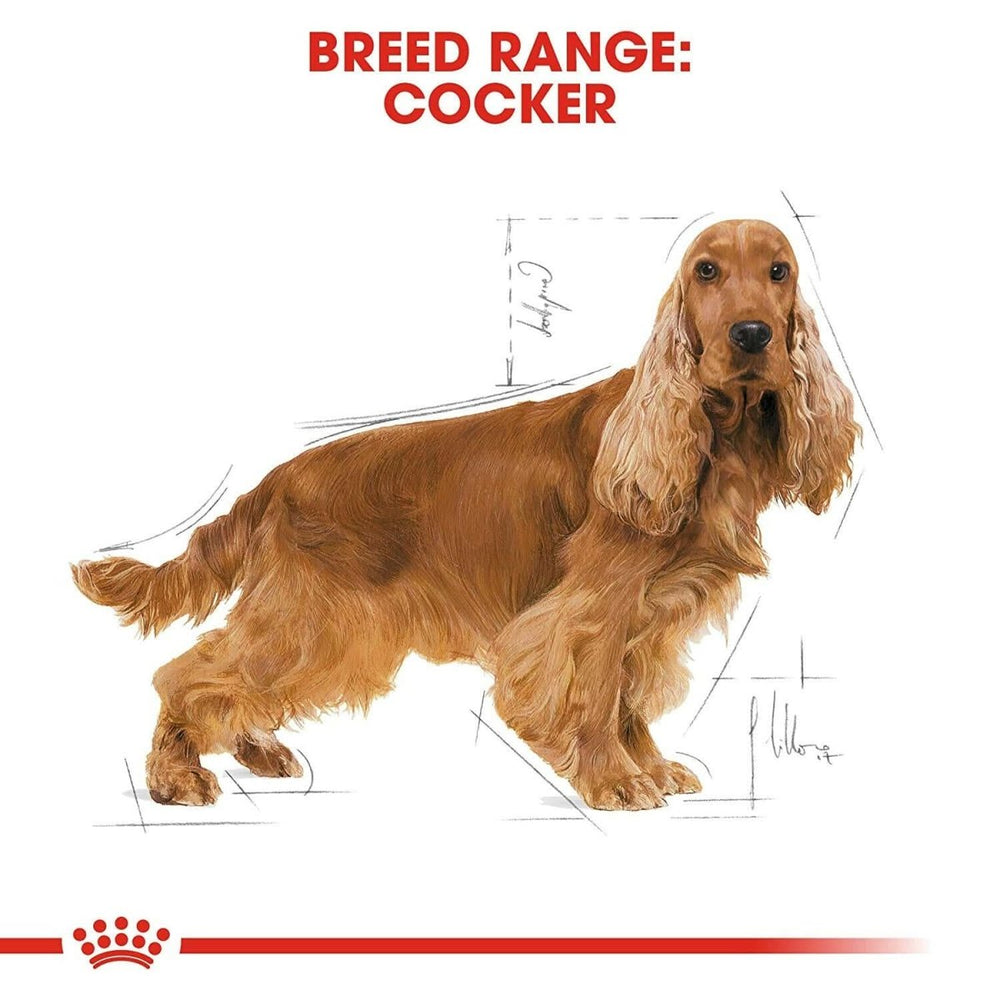Royal Canin Cocker Spaniel Adult Dry Dog Food - 3kg - dspetstore.com