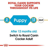 Royal Canin Cocker Spaniel Puppy Dry Dog Food - dspetstore.com