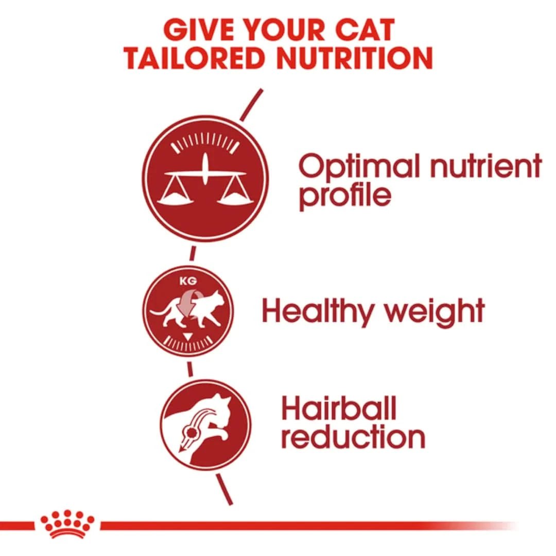 Royal Canin Fit 32 Adult Dry Cat Food - dspetstore.com